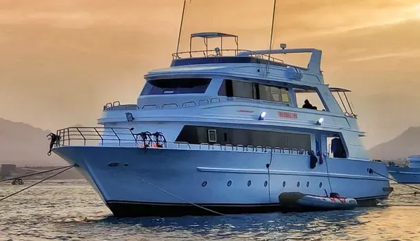 Dive with Confidence